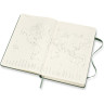 Ежедневник MOLESKINE CLASSIC LARGE 21 (зеленый) DHK1512DC3