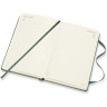 Ежедневник MOLESKINE CLASSIC POCKET 21 (зеленый) DHK1512DC2